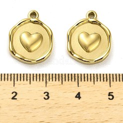 Anhänger aus Edelstahl 304&nbsp;STAS-L022-103G-02