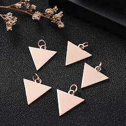 Pendentifs en acier inoxydable 304 avec placage ionique (IP)&nbsp;STAS-I311-22RG
