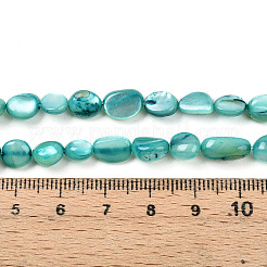 Cuentas de concha naturales blancos mechones&nbsp;SHEL-N036-21C