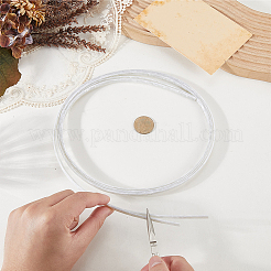 Correa de plástico para guitarra&nbsp;DIY-WH20095-017A