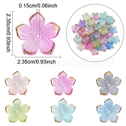 120 Stück transparente Perlenkappen aus Acryl in 6 Farben.&nbsp;TACR-YW0002-44