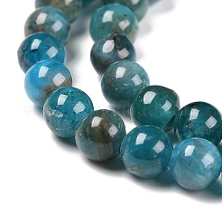 Chapelets de perles en apatite naturelle&nbsp;X-G-D856-01-4mm