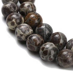 Brins de perles de jaspe astroite naturel&nbsp;G-F814-A01-8mm