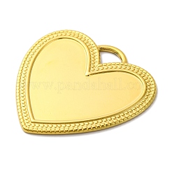 Pendentifs en acier inoxydable 304 avec placage ionique (IP)&nbsp;STAS-D194-18G