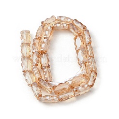 Chapelets de perles en verre électroplaqué&nbsp;EGLA-L045-F-PL04