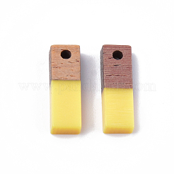 Pendentifs en résine & en bois&nbsp;X-RESI-S358-19-M