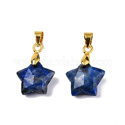 Lapis lazuli naturale incanta&nbsp;X-G-N326-142-02