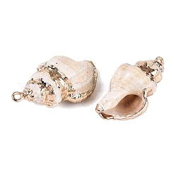 Pendentifs en coquillage naturel plaqués électrolytique&nbsp;SSHEL-Q100-25KCG