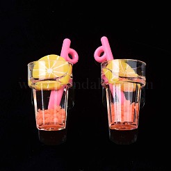 Colgantes de resina de imitación de té de frutas&nbsp;X-CRES-S359-31F