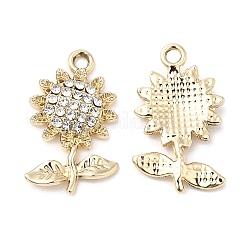 Pendentifs en strass en alliage de placage uv&nbsp;PALLOY-A004-05G