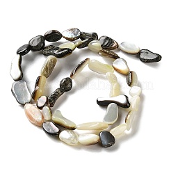 Natur schwarz Lippe Shell Perlen Stränge&nbsp;SHEL-G020-04