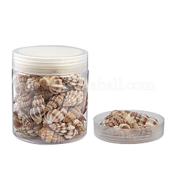 Spiralmuschelperlen&nbsp;BSHE-YW0001-02