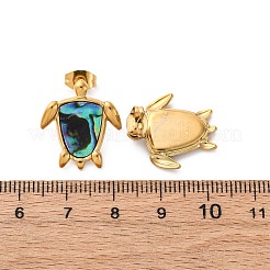 Ohrstecker aus natürlicher Paua-Muschel aus 304 Edelstahl&nbsp;EJEW-Z103-05G-01