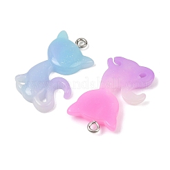 Pendentifs en résine&nbsp;RESI-I347-01P