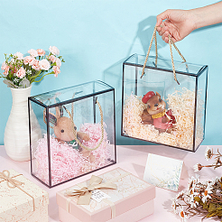 20 Stück transparente Geschenkboxen aus Haustierplastik&nbsp;AJEW-BC0009-80B