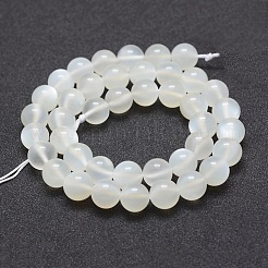 Naturelles perles pierre de lune blanc brins&nbsp;G-J373-13-10mm