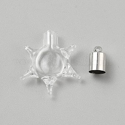 Glas-Anhänger&nbsp;FIND-WH0199-265