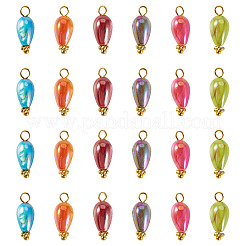 30 pendentif en coquillage d'eau douce naturel teint&nbsp;PALLOY-TAC0319