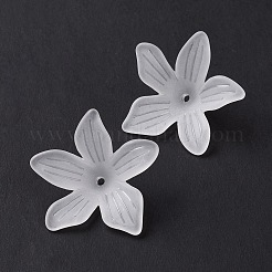 5-petal transparente Acryl Perlenkappen&nbsp;OACR-A017-15