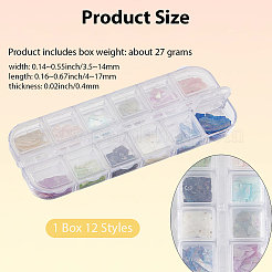 1 set di 12 fette di conchiglia colorate&nbsp;MRMJ-SP0001-05B