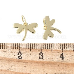 Messing Anhänger & Charms&nbsp;KK-F892-41G