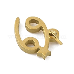 Pendentifs en acier inoxydable chirurgical 316l&nbsp;STAS-U058-01G-04