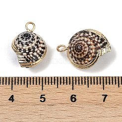 Galvanisierte natürliche Spiralmuschelanhänger&nbsp;SHEL-K006-41G