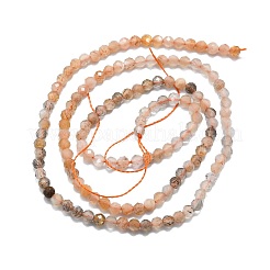 Fili di perline multi-moonstone naturali&nbsp;G-P457-A02-24