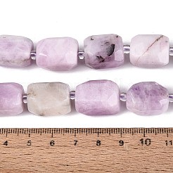 Naturperlen Stränge kunzite&nbsp;G-N362-07A-08