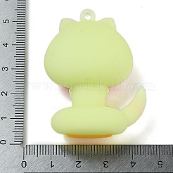 Pendentifs en pvc&nbsp;FIND-R001-01B