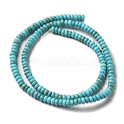 Fili di perline howlite naturale&nbsp;G-C025-09C