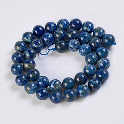 Chapelets de perles en lapis-lazuli naturel&nbsp;G-K254-01-10mm