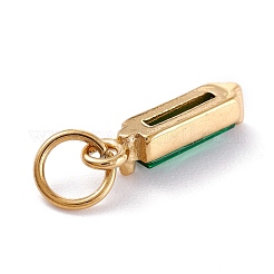Ciondoli in acciaio inossidabile 304 con zirconi cubici&nbsp;STAS-E487-21G-06