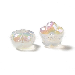 UV-Beschichtung regenbogenschillernde Acrylperlen&nbsp;PACR-M002-05A