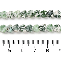 Natürliche grüne Fleck Jaspis Perlen Stränge&nbsp;G-M403-A22-02