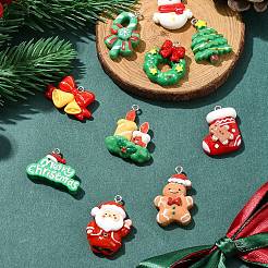 10pcs 10 styles de pendentifs en résine opaque&nbsp;CRES-YW0002-25