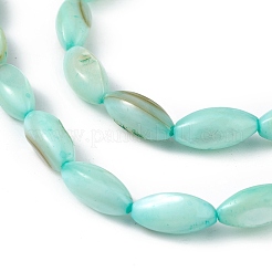 Fili di perline tinti in conchiglia naturale d'acqua dolce&nbsp;SHEL-M018-13