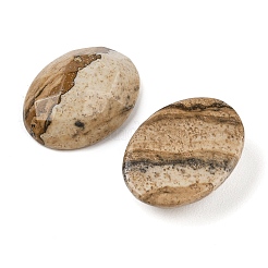 Cabochon di diaspro dell'immagine naturale&nbsp;G-Q186-01C