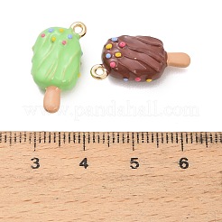 Emaille Anhänger Legierung&nbsp;ENAM-A014-04G