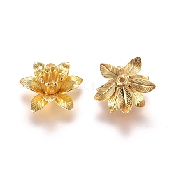 Bouchons de perles en laiton 3d&nbsp;X-KK-G368-04G