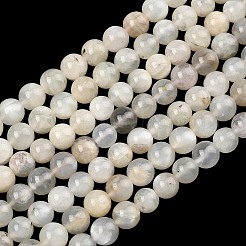 Naturelles perles pierre de lune blanc brins&nbsp;G-C277-A01-8mm