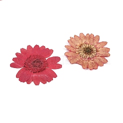 3d getrocknete Blumen Nagelkunstdekorationen&nbsp;MRMJ-R078-07