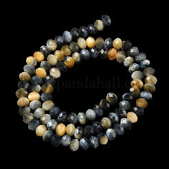 Tigre naturale fili Perle&nbsp;G-D344-A20-05