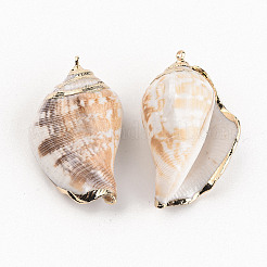 Pendentifs en spirale naturelle galvanoplastie&nbsp;LS-SSHEL-R144-07