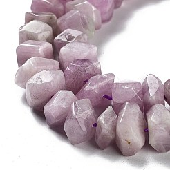 Naturperlen Stränge kunzite&nbsp;G-D091-A13