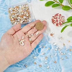 200 Stück 2 Farben natürliche Muschelchip-Anhänger&nbsp;PALLOY-FH00129