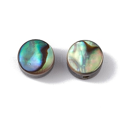 Natürliche Abalone-Muschel / Paua-Muschelperlen&nbsp;SSHEL-M021-02