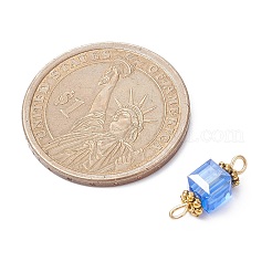 Dijes de conector de vidrio&nbsp;PALLOY-JF02364-01