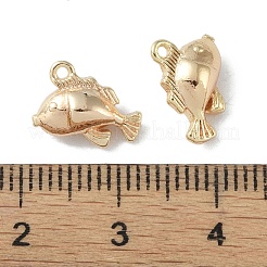 Messing Anhänger & Charms&nbsp;KK-H482-14A-G