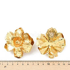 Boucles d'oreille en alliage&nbsp;EJEW-D300-02G-06